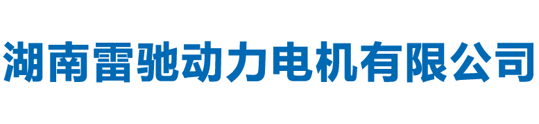 湖南雷驰动力电机有限公司